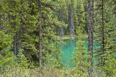 Similar image 7839390