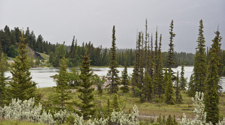 Similar image 7839391