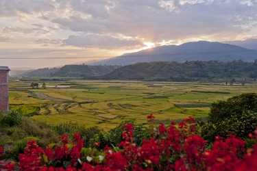 Similar image 7839393