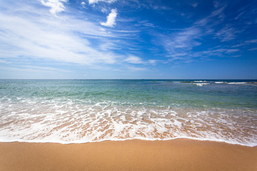 Similar image 7839405