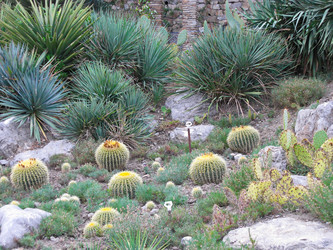 Similar image 7839537