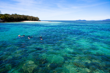 Similar image 7839544