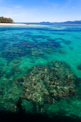 Similar image 7839546