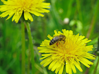 Similar image 7839554