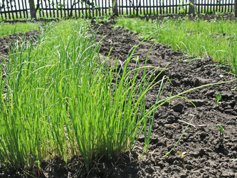 Similar image 7839557