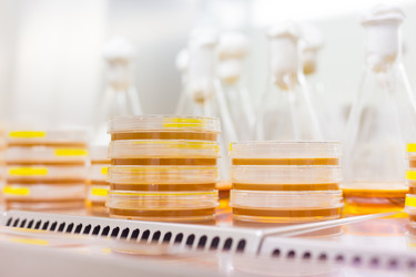 Similar image 7839565