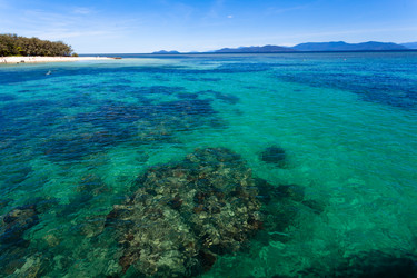 Similar image 7839585