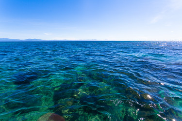 Similar image 7839586