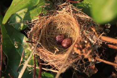 Similar image 7839588