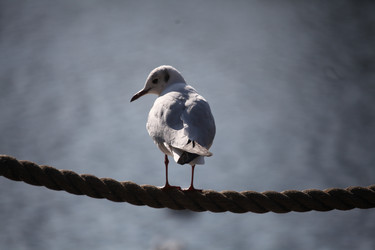 Similar image 7839589