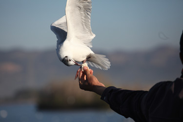 Similar image 7839593