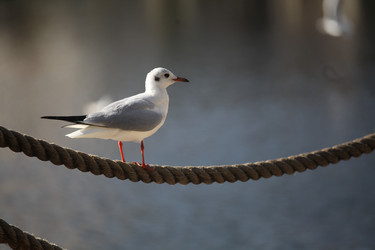 Similar image 7839595