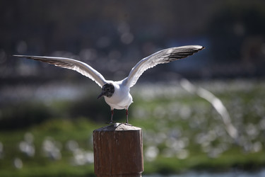 Similar image 7839596