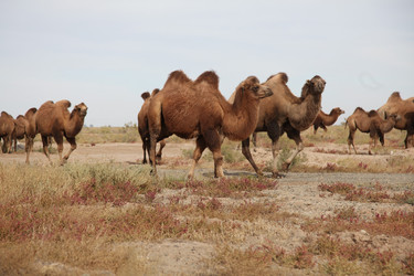 Similar image 7839597