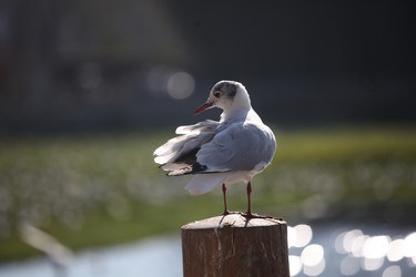 Similar image 7839611