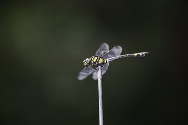 Similar image 7839613