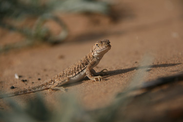 Similar image 7839614