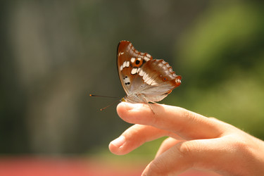 Similar image 7839615