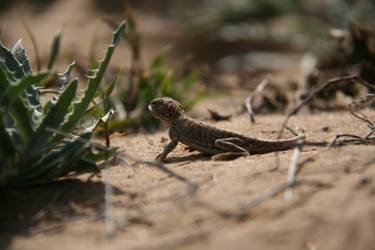 Similar image 7839616