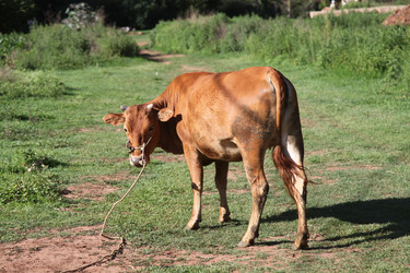 Similar image 7839617