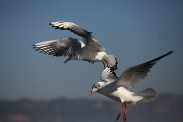 Similar image 7839618