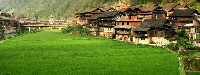 Similar image 7839674