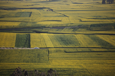 Similar image 7839702