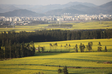 Similar image 7839704