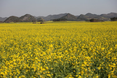 Similar image 7839718