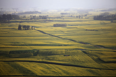 Similar image 7839751