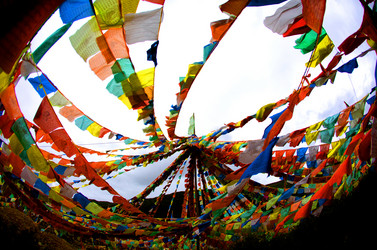 Similar image 7839752