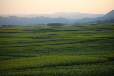 Similar image 7839754