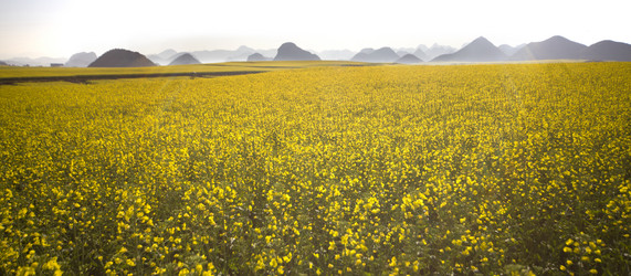 Similar image 7839756