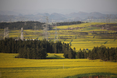 Similar image 7839758