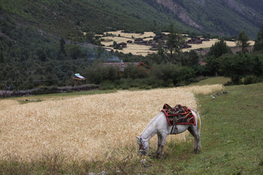 Similar image 7839759