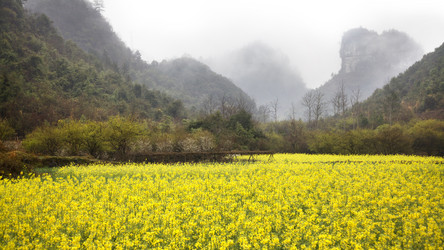 Similar image 7839764