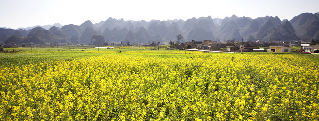 Similar image 7839770