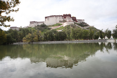 Similar image 7839775