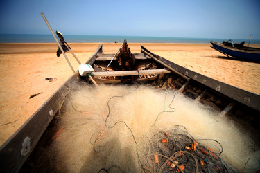 Similar image 7839808