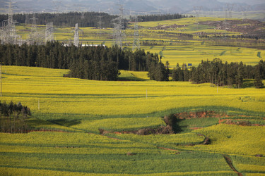 Similar image 7839819