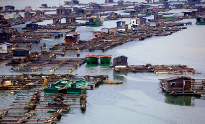 Similar image 7839832