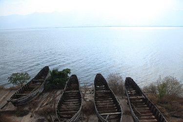 Similar image 7839859