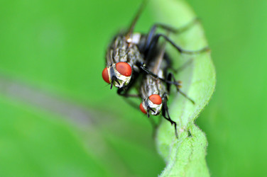 Similar image 7840000