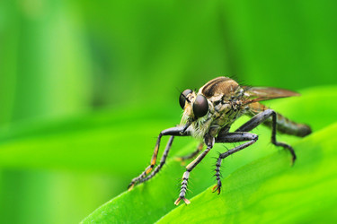 Similar image 7840001