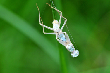 Similar image 7840002