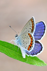 Similar image 7840004