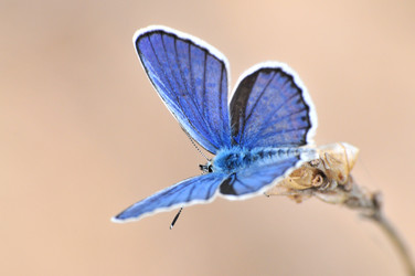 Similar image 7840005