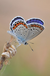 Similar image 7840006