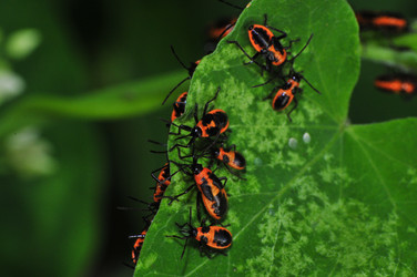 Similar image 7840007