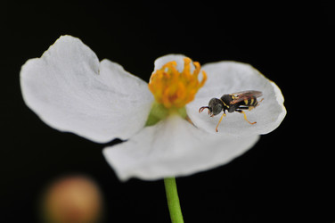 Similar image 7840008